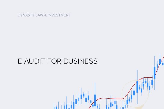 E-audit for businesses has been launched in Ukraine